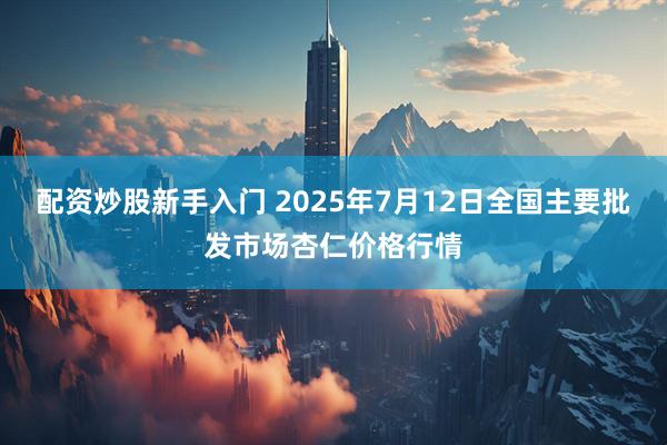 配资炒股新手入门 2025年7月12日全国主要批发市场杏仁价格行情