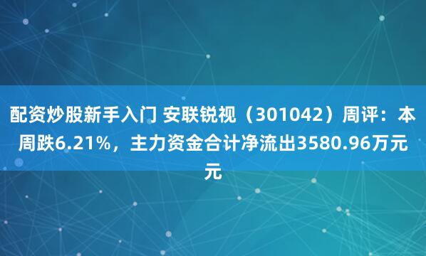 配资炒股新手入门 安联锐视（301042）周评：本周跌6.21%，主力资金合计净流出3580.96万元