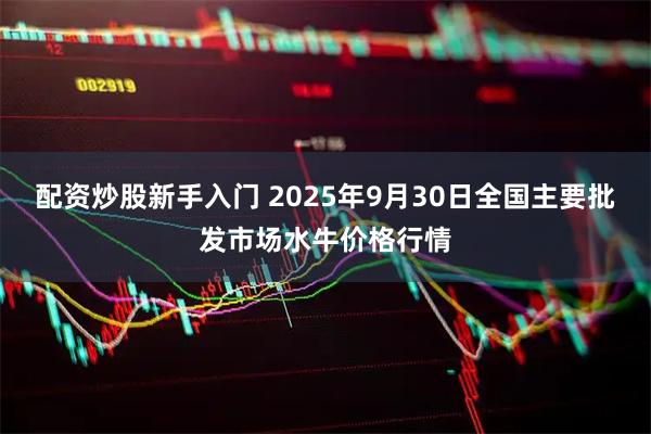 配资炒股新手入门 2025年9月30日全国主要批发市场水牛价格行情